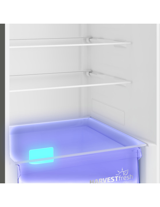 Beko B5RCNE366HG réfrigérateur-congélateur Pose libre 316 L Gris